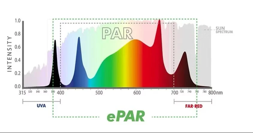 full spectrum full spectrum