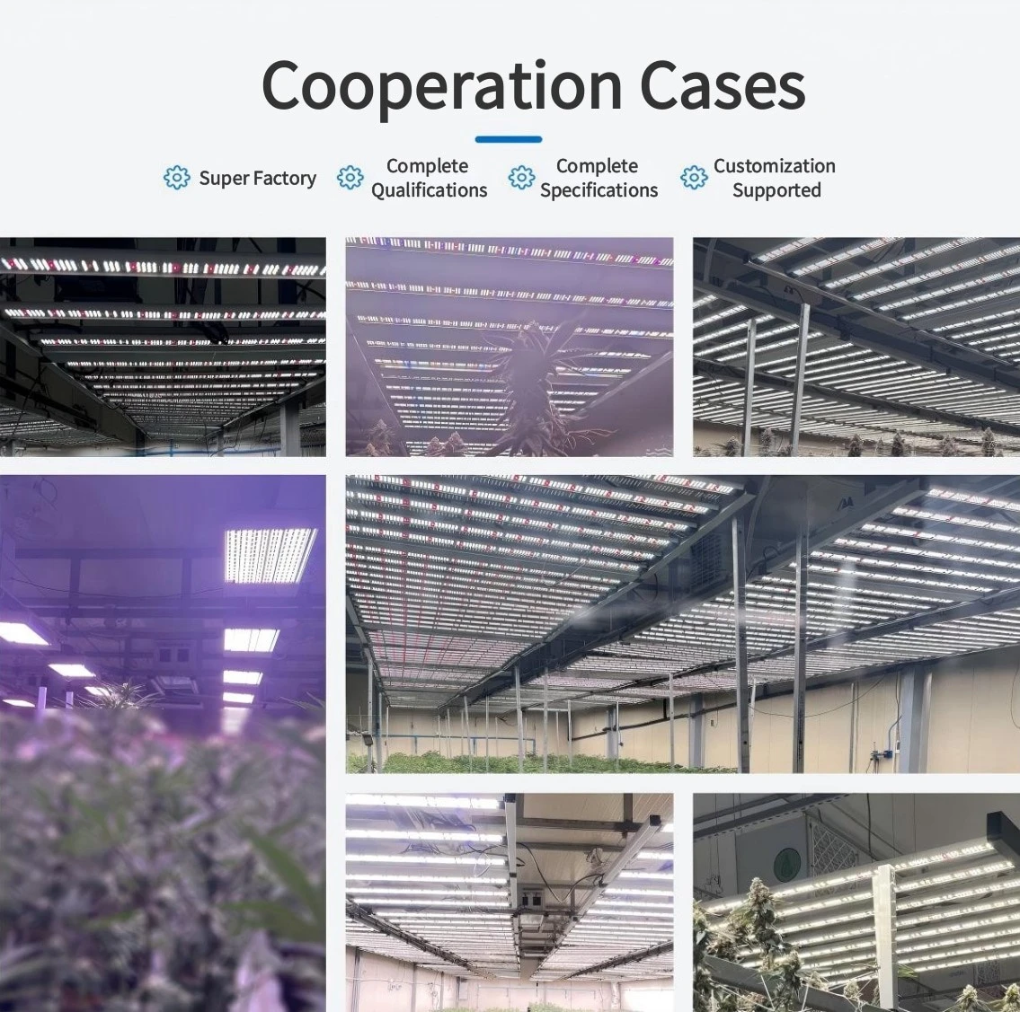 cooperation cases