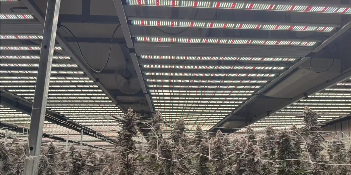 foldable LED grow lights 
